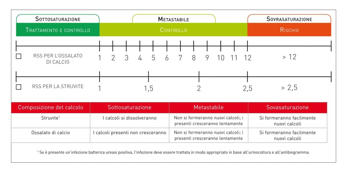 Figura 2. Ognuna delle zone RSS ha implicazioni diverse sul rischio di formazione dei calcoli, come mostrato di seguito. La tabella riassume la situazione sia per i cristalli di struvite sia per quelli di ossalato di calcio.