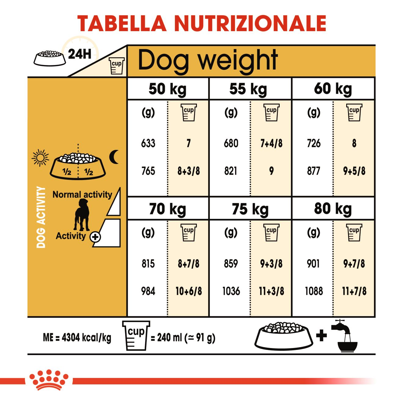 GREAT DANE Adult