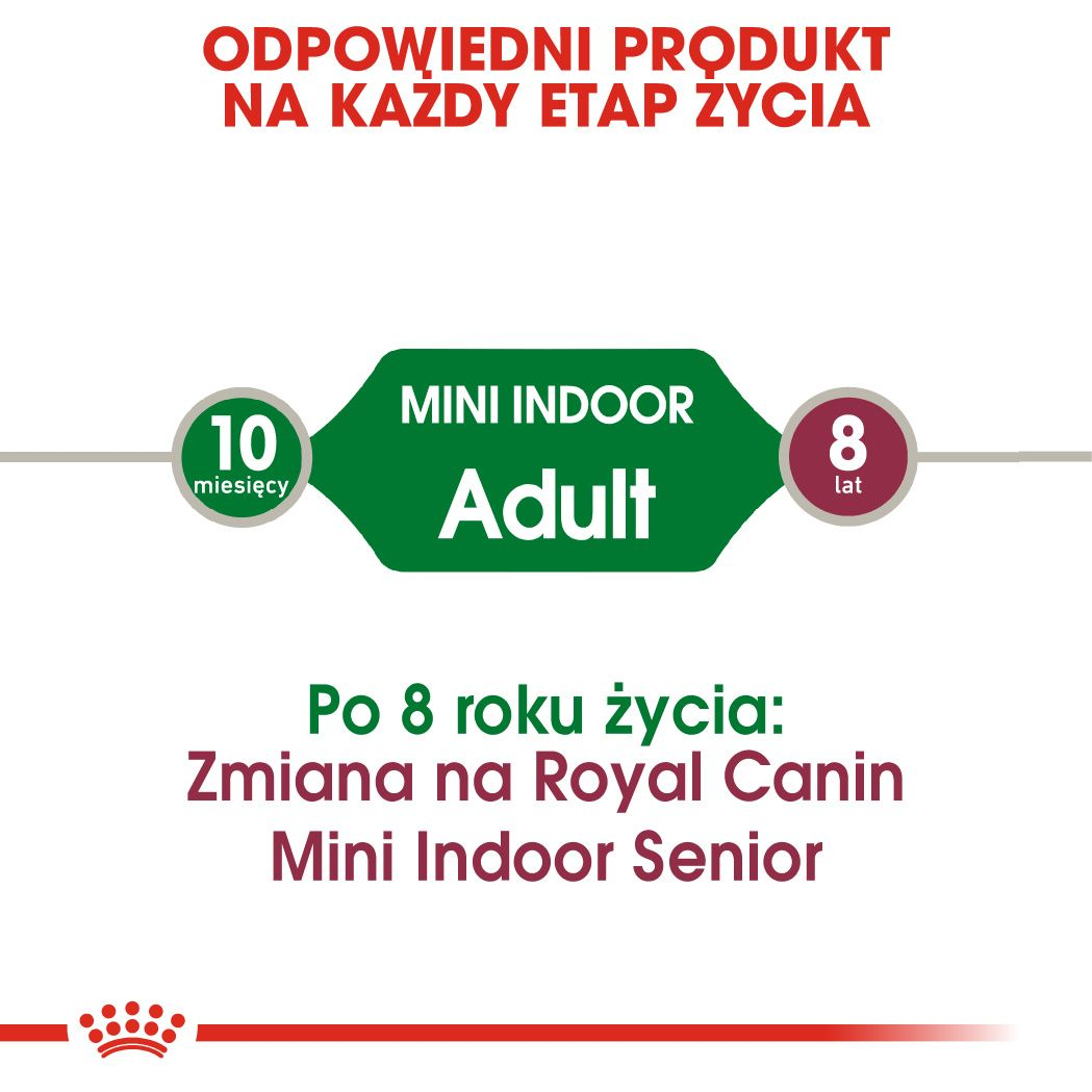 Mini Indoor Adult