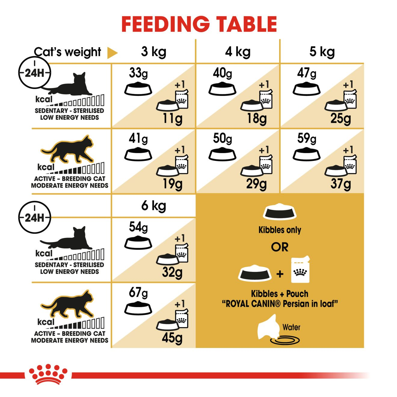 Best food clearance for persian cat