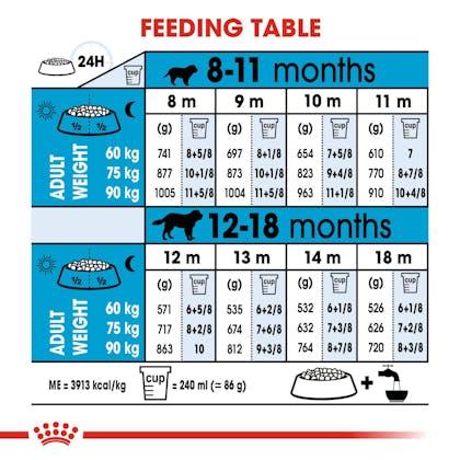 Royal canin large 2025 breed puppy feeding chart