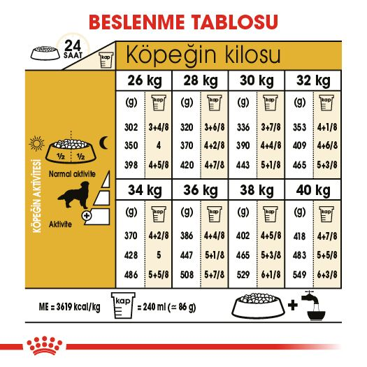 Golden Retriever Adult Yetişkin Köpek Kuru Maması