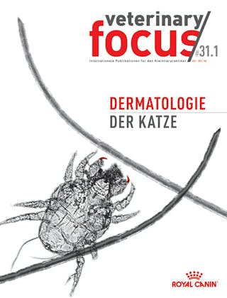 Dermatologie der Katze