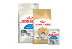Packshots van Royal Canin kattenvoeding