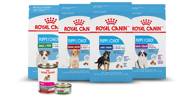 Alimento para cachorros Royal Canin para perros de talla chica, mediana, grande y gigante