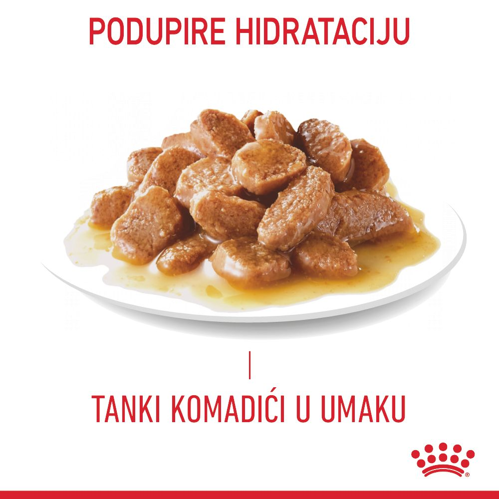 HAIRBALL CARE  Tanki komadići u umaku