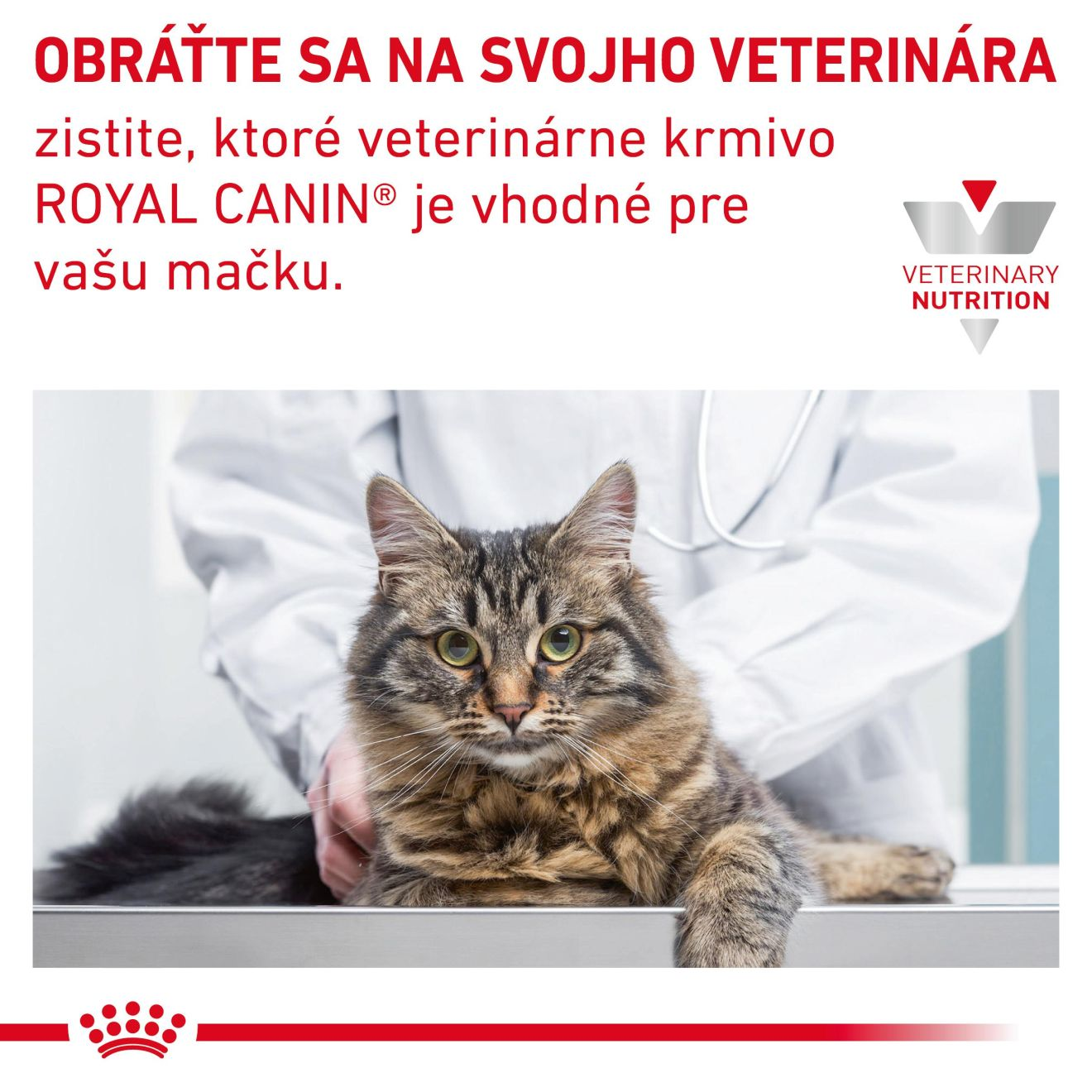 VHN Cat Skin & Coat Kapsičky