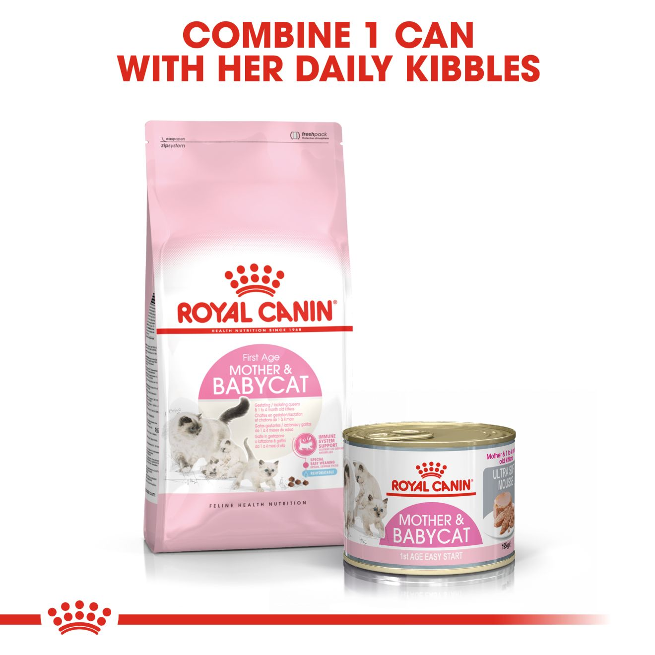 Royal canin baby clearance and mother cat