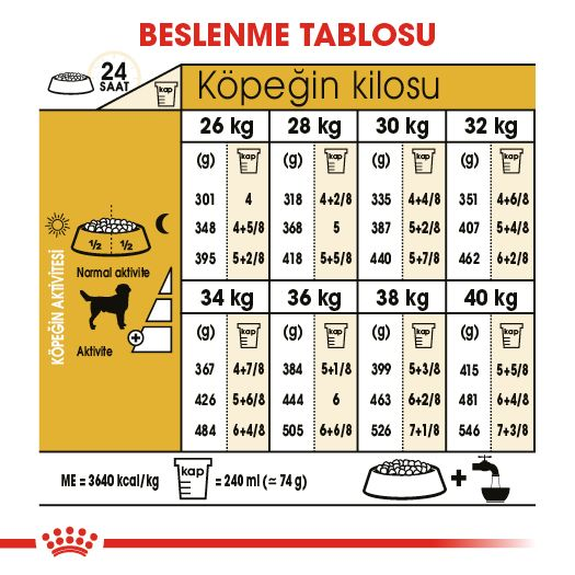 Labrador Retriever Adult Yetişkin Köpek Kuru Maması