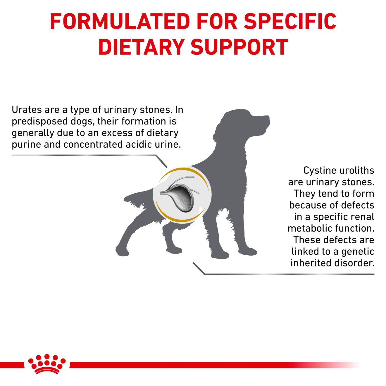 Canine Urinary UC