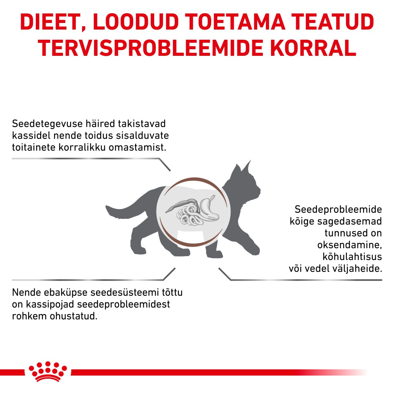 Royal Canin Gastrointestinal Kitten kuivtoit