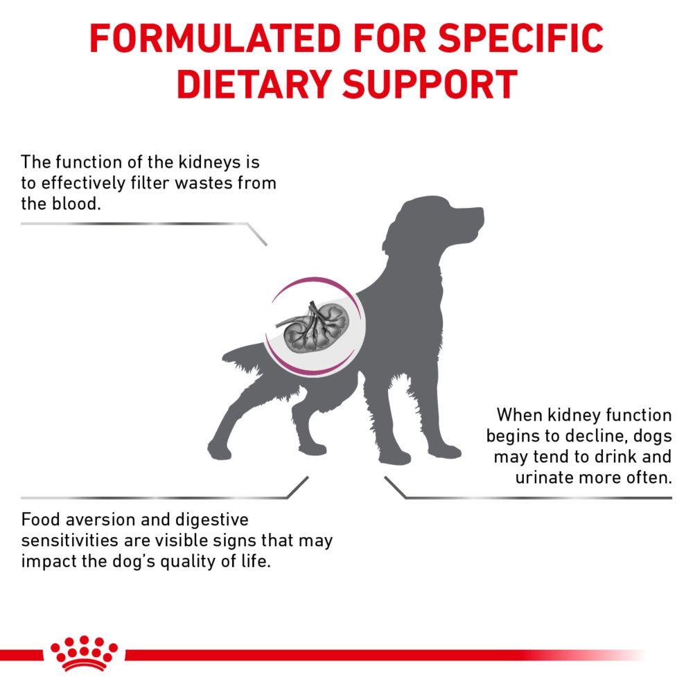 Canine Renal Support F