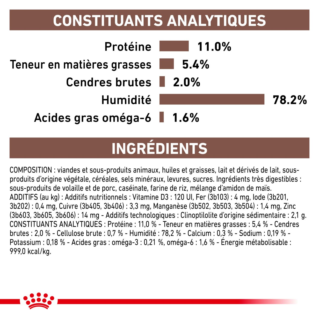 Gastrointestinal Kitten