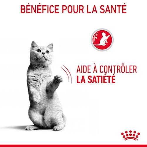 Appetite Control Care en gelée