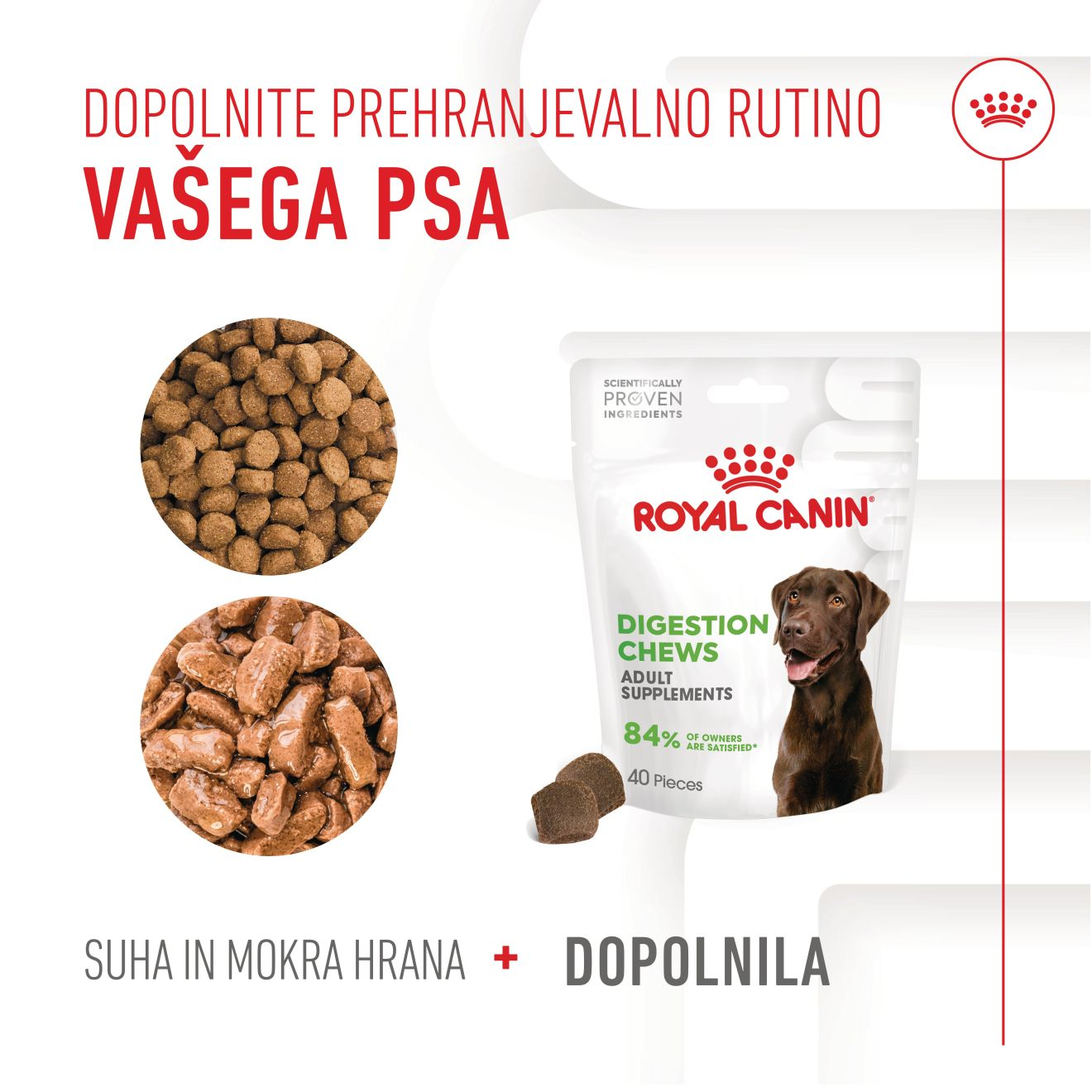 DIGESTION CHEWS