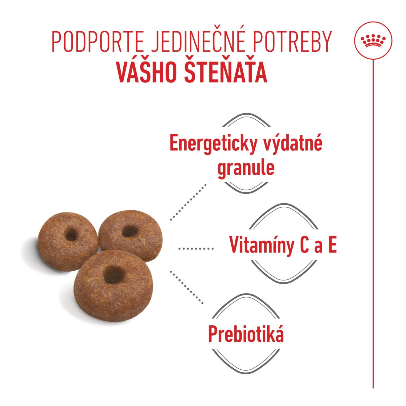 GIANT STARTER Mother & Babydog 