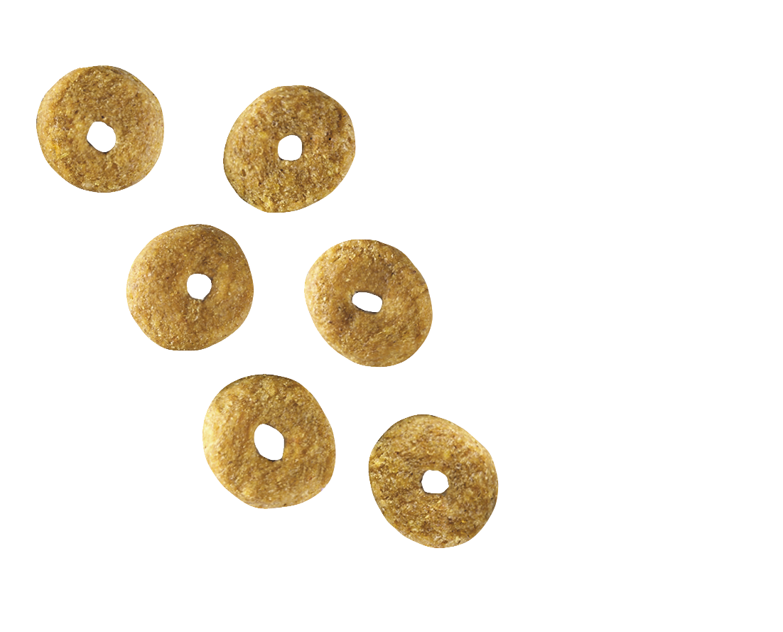 royal canin vet care nutrition neutered adult small dog