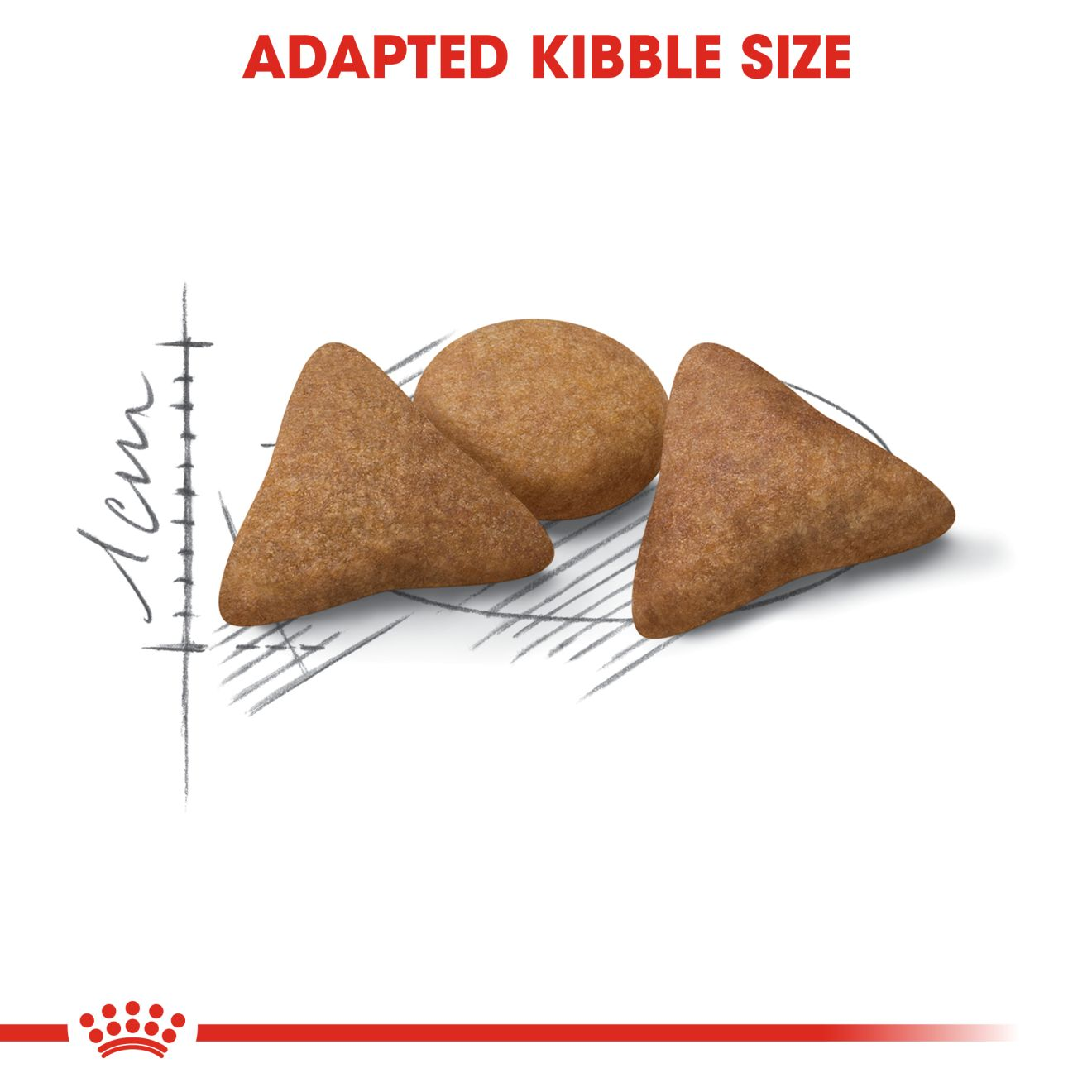 Katzenfutter 2x4kg Appetitkontrolle Royal Canin Indoor Appetite Control Günstig Kaufen Futter Für Wohnungskatzen