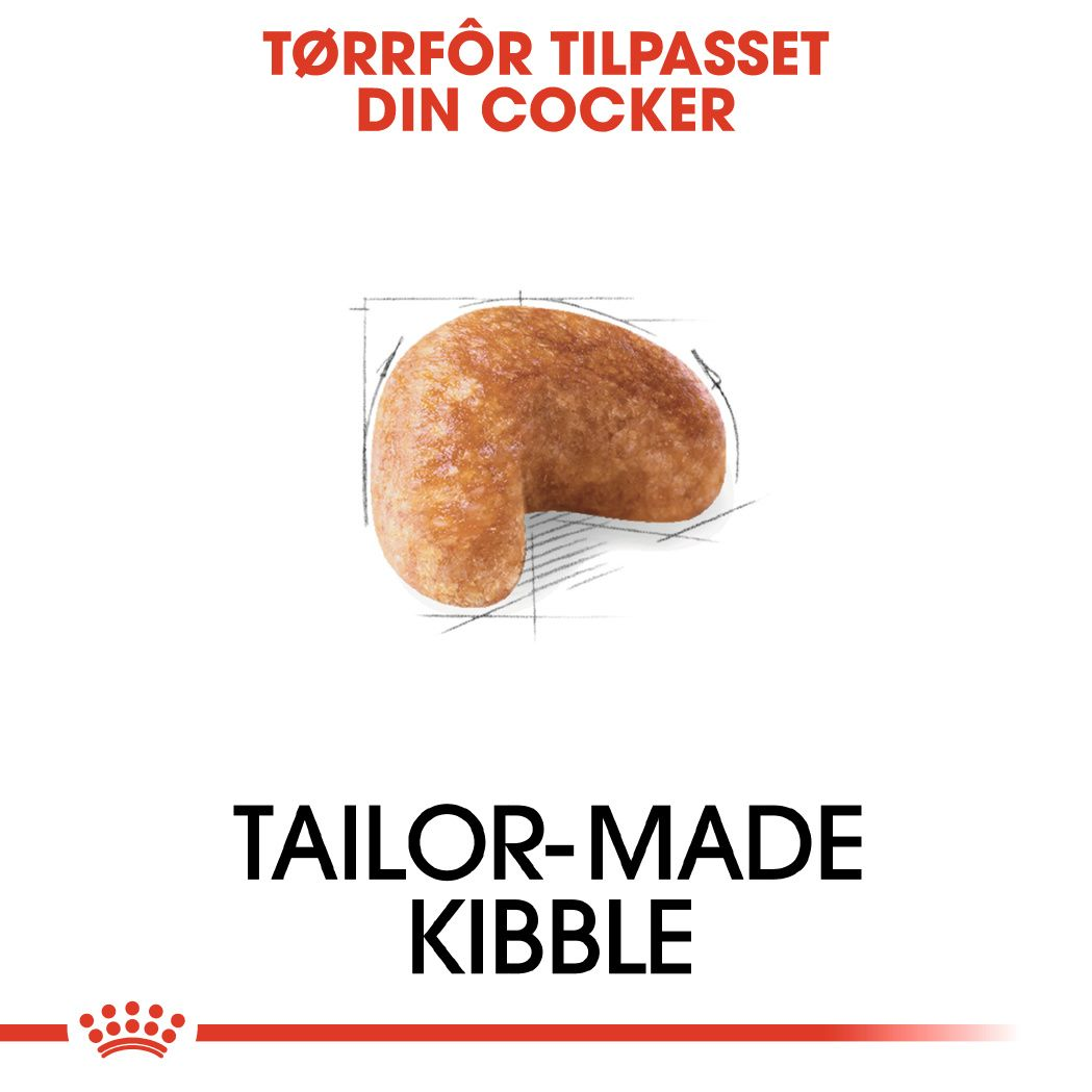 Cocker Adult