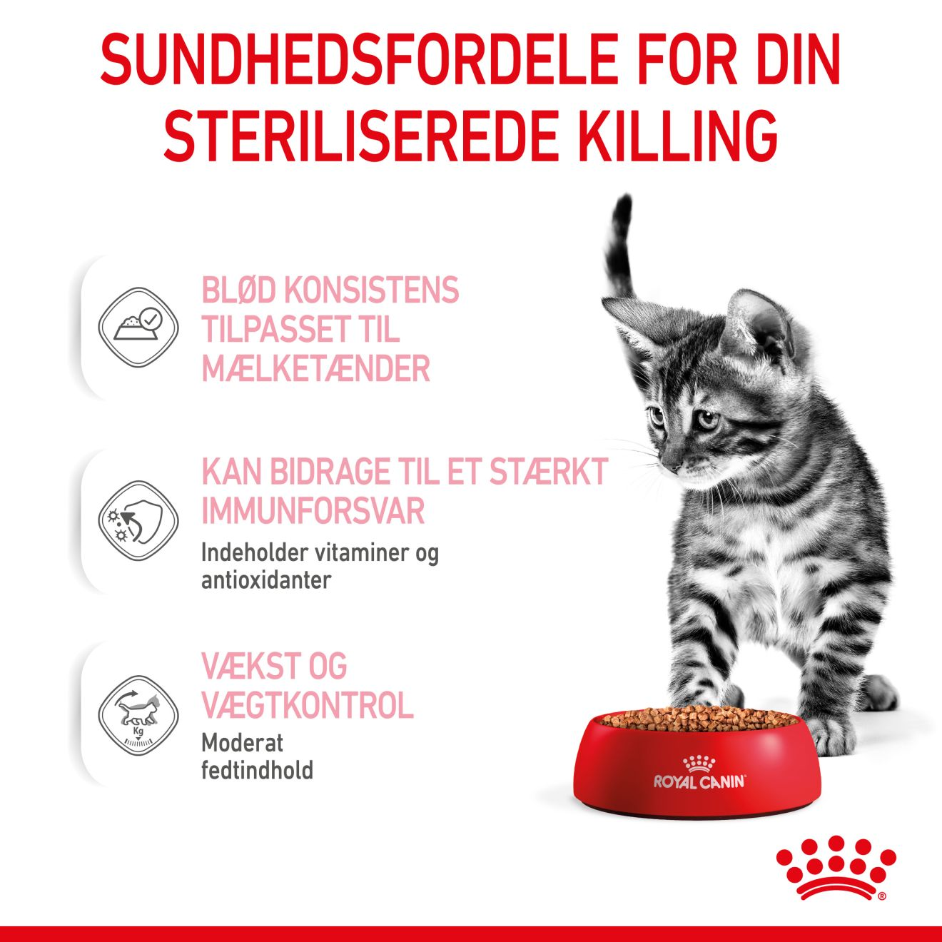 Kitten Sterilised Gravy