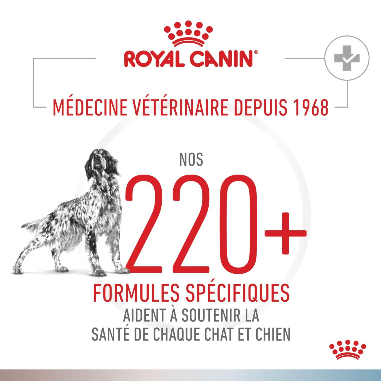 Gastrointestinal Low Fat + Hypoallergenic Chien