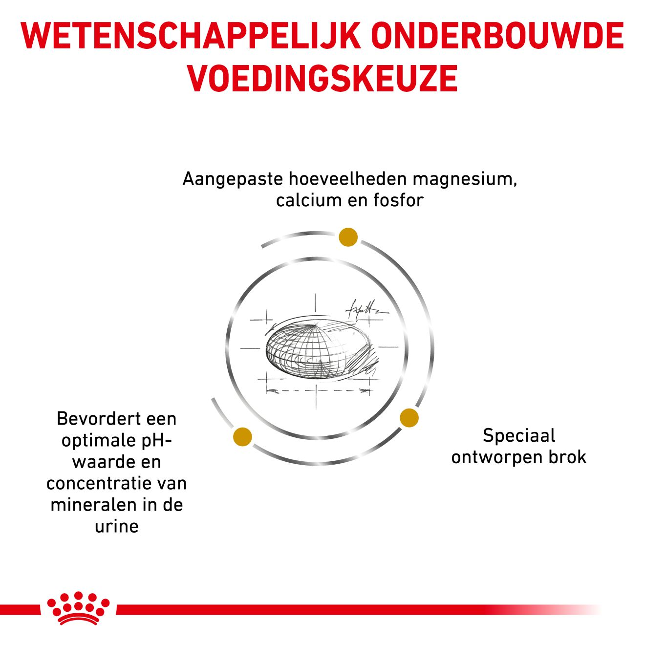 Royal Canin Veterinary Diet Urinary S/O Small Dogs - Hondenvoer - 4 kg - Hondenbrokken - Pets Place