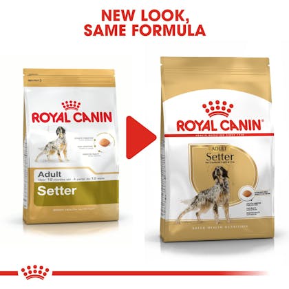 Royal canin hot sale irish setter