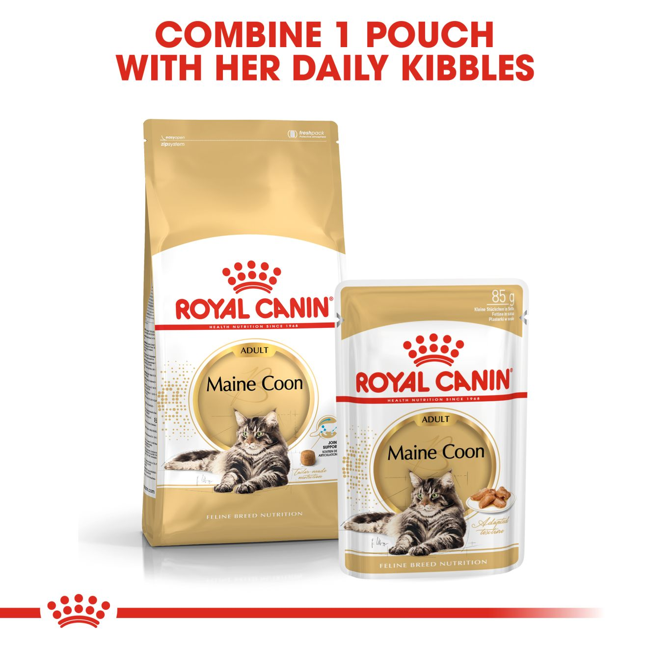 ROYAL CANIN อาหารแมวโตพันธุ์เมนคูน ชนิดเม็ด (MAINE COON ADULT)