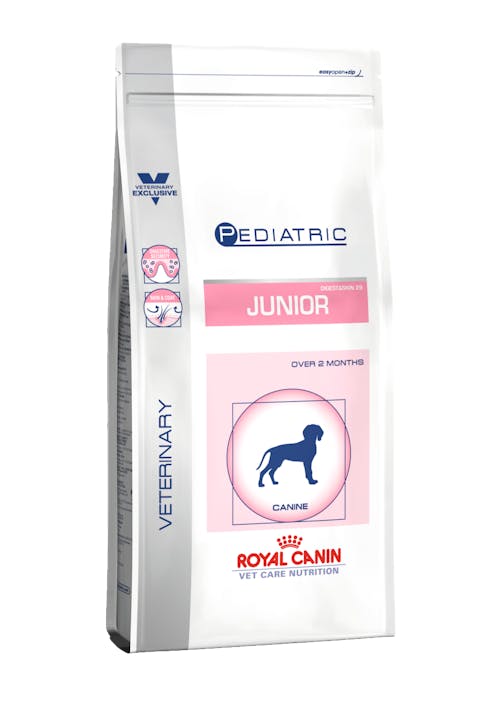 Pediatric Junior Dog