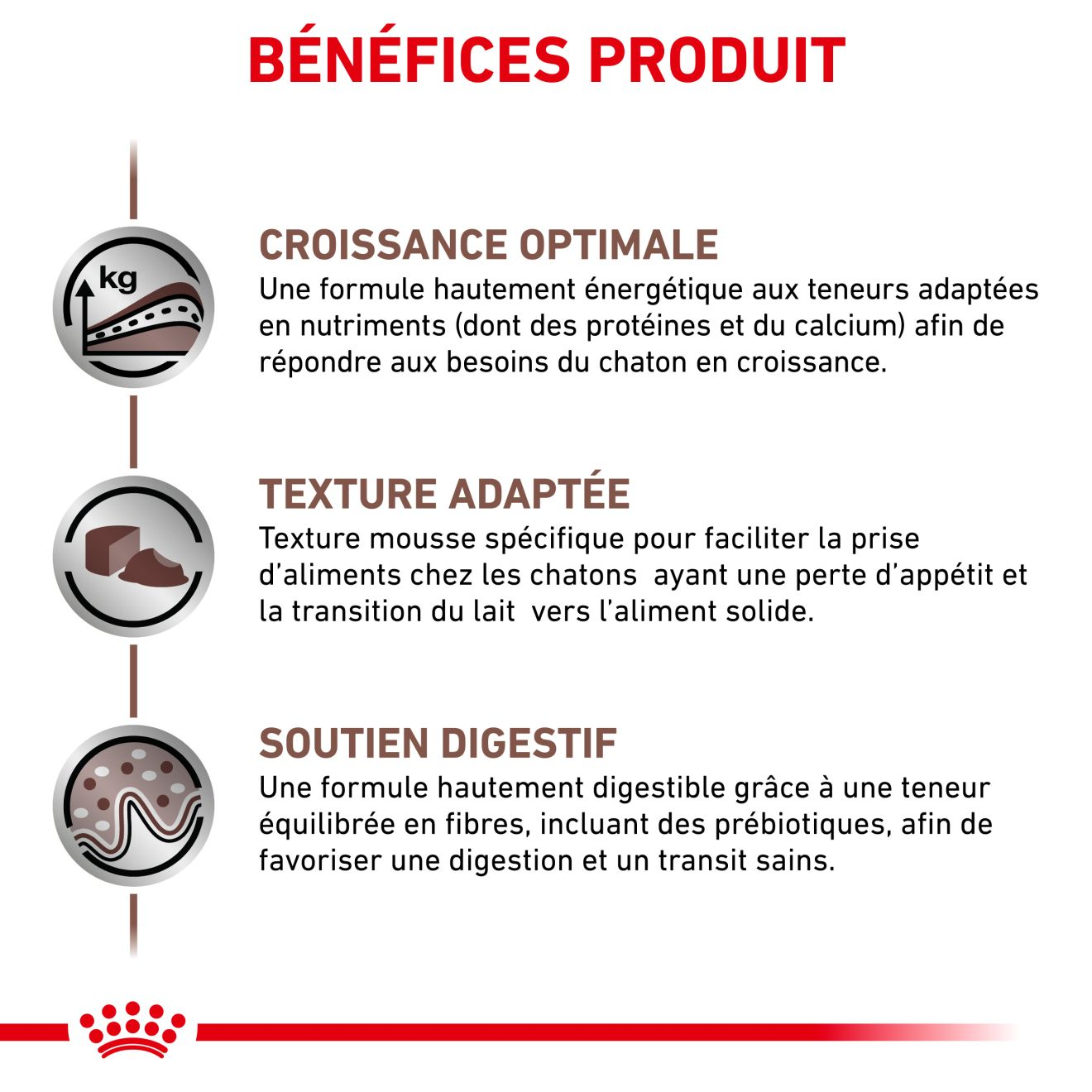 Gastrointestinal Kitten