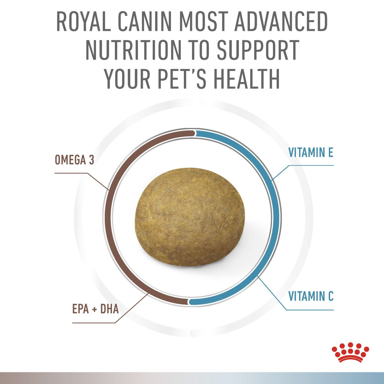 Gastrointestinal Low Fat + Hypoallergenic