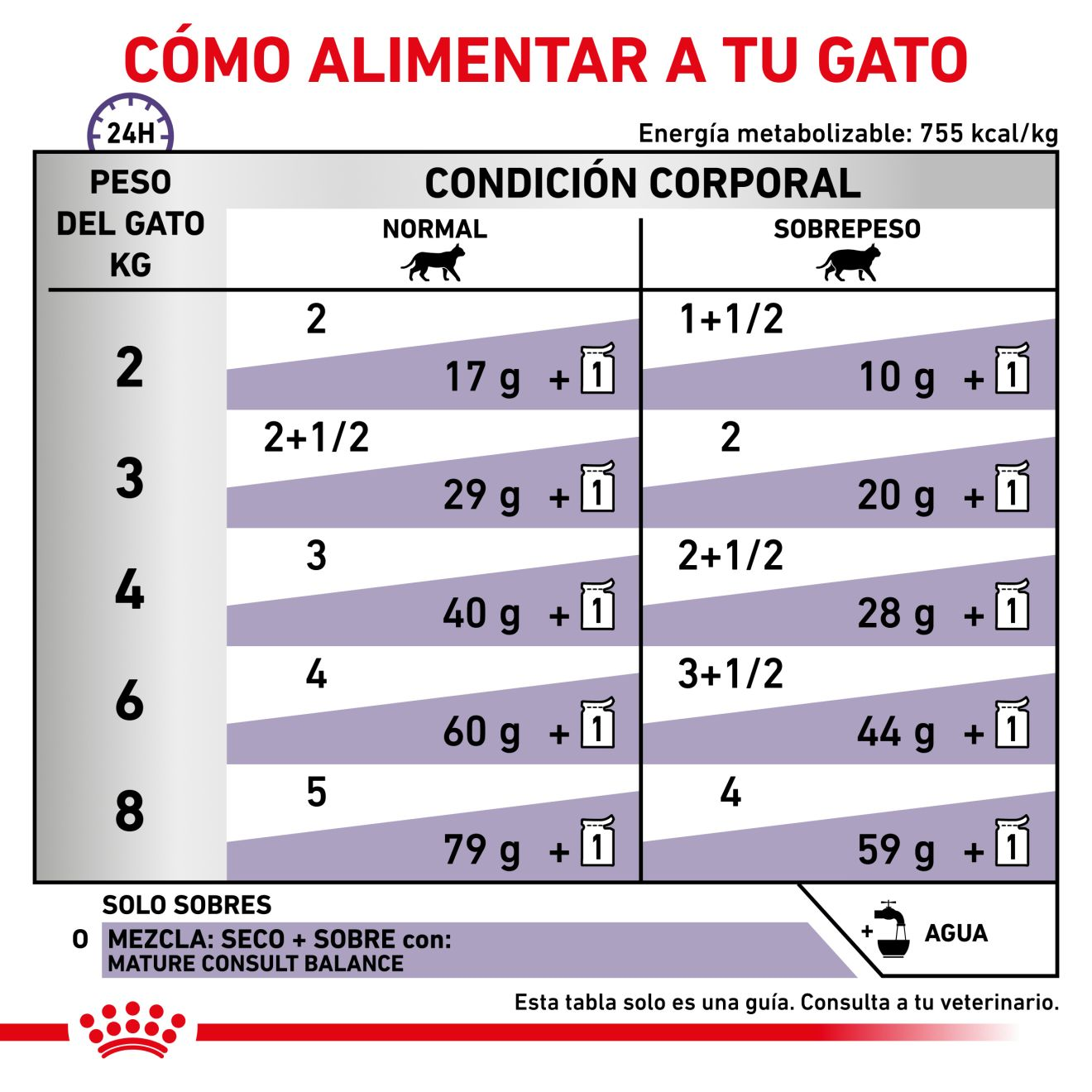 MATURE CONSULT BALANCE