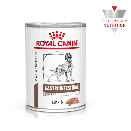 VHN-BrandFlagship-Hero-Images-Gastrointestinal Low Fat 410 Dog Wet-B1