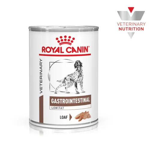 Royal Canin Gastrointestinal Low Fat Wet Dog Food Dog Vet Products