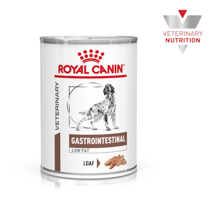 VHN-BrandFlagship-Hero-Images-Gastrointestinal Low Fat 410 Dog Wet-B1