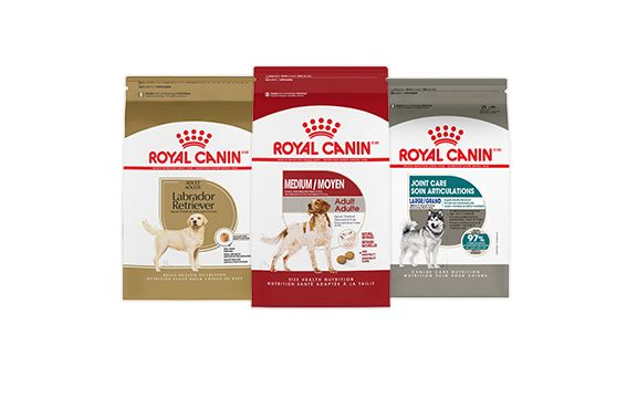 Royal canin outlet adult hp