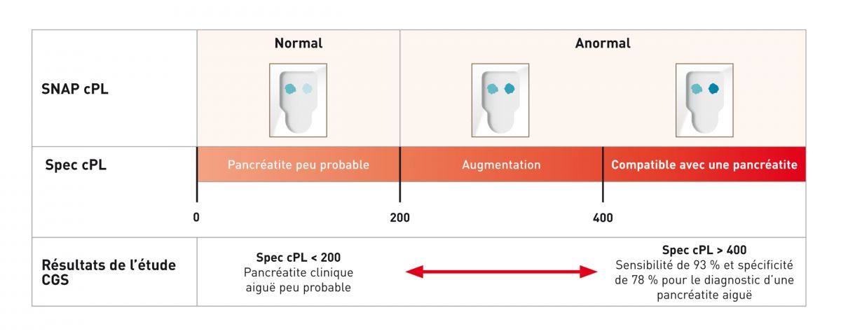 Une étude indépendante récente menée par la Comparative Gastroenterology Society (CGS) a comparé les résultats obtenus avec le test SNAP cPL et a constaté une bonne corrélation avec les résultats du test Spec cPL.
