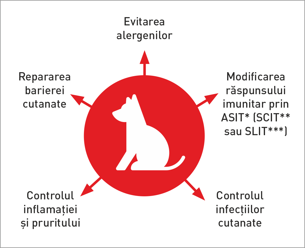 Tratamentul multimodal al dermatitei atopice canine.
