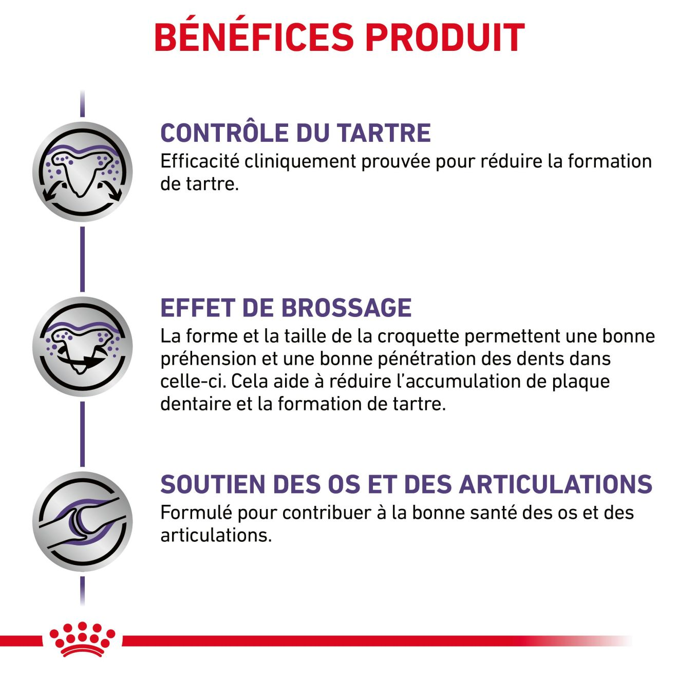 Dental Medium & Large Dogs