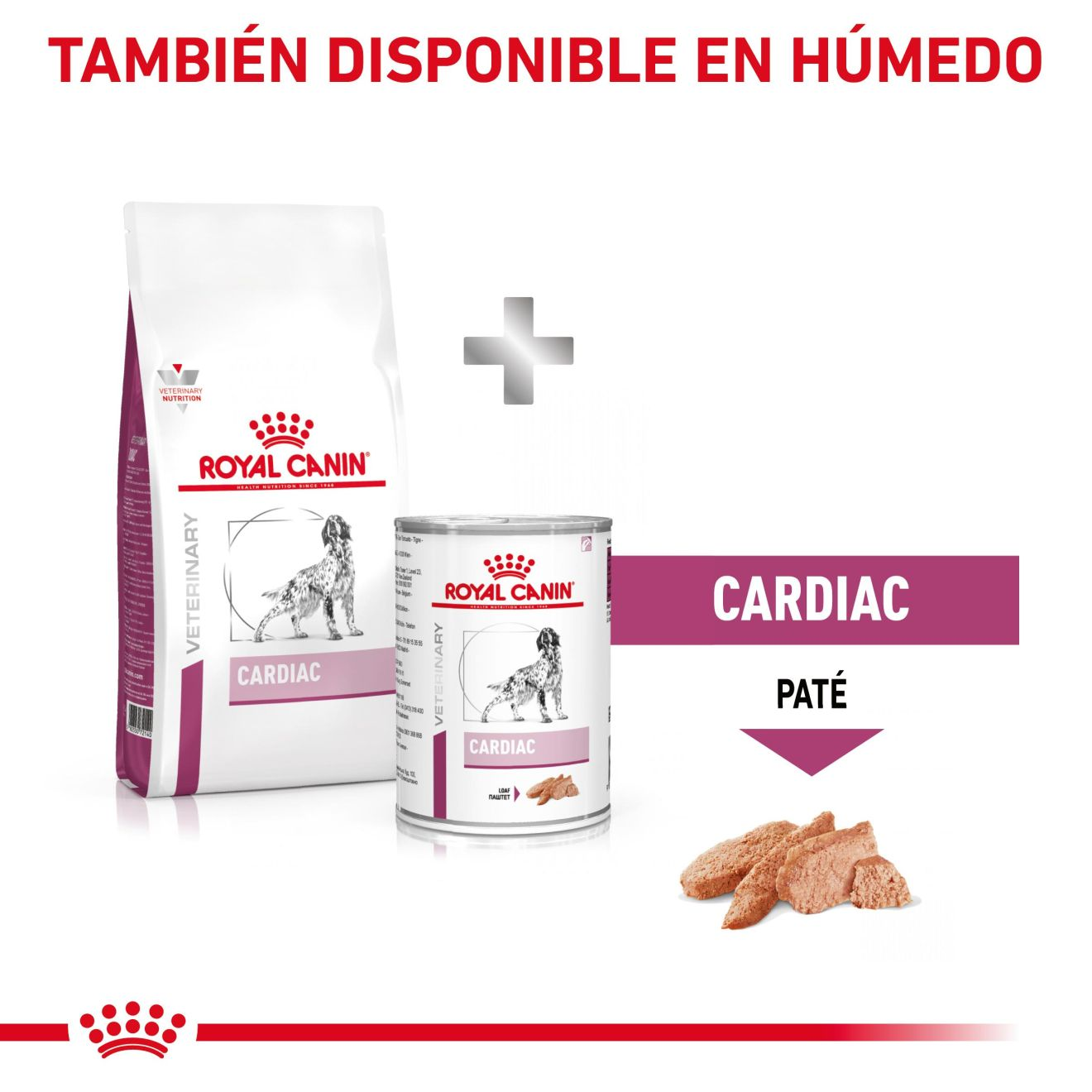 Cardiac