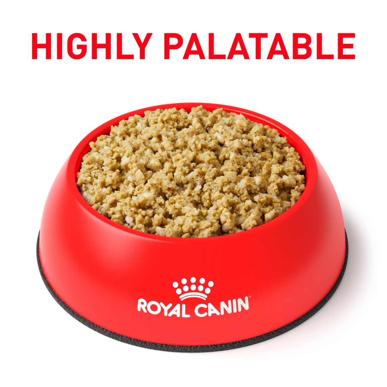 Canine Vegetarian loaf in sauce Royal Canin US