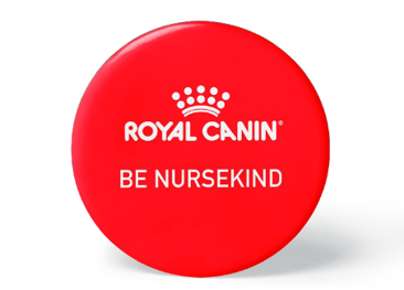 German Shepherd adult standing in black and white on a white background