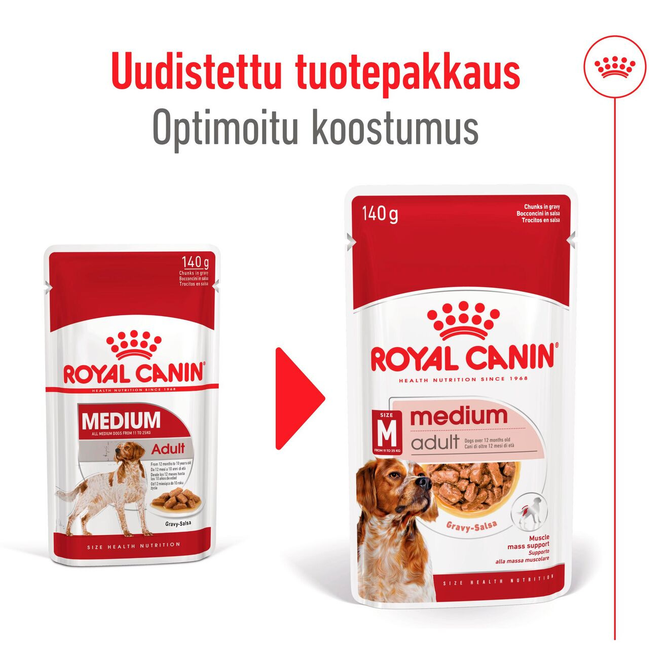 Medium Adult paloja kastikkeessa