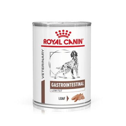 VHN-eRetail Full Kit-Hero-Images-Gastrointestinal Low Fat 410g Dog Wet-B1
