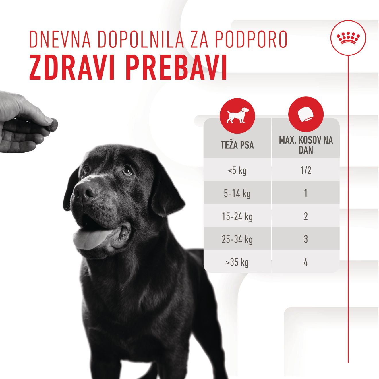 DIGESTION CHEWS