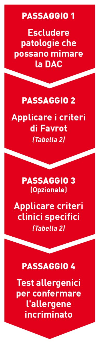 I quattro passaggi dell’algoritmo diagnostico per la DAC; il paziente dovrebbe essere sempre esaminato in questo ordine. Si consiglia di seguire il Passaggio 3 (applicazione di criteri specifici) solo quando i criteri di Favrot non siano risultati diagnostici.