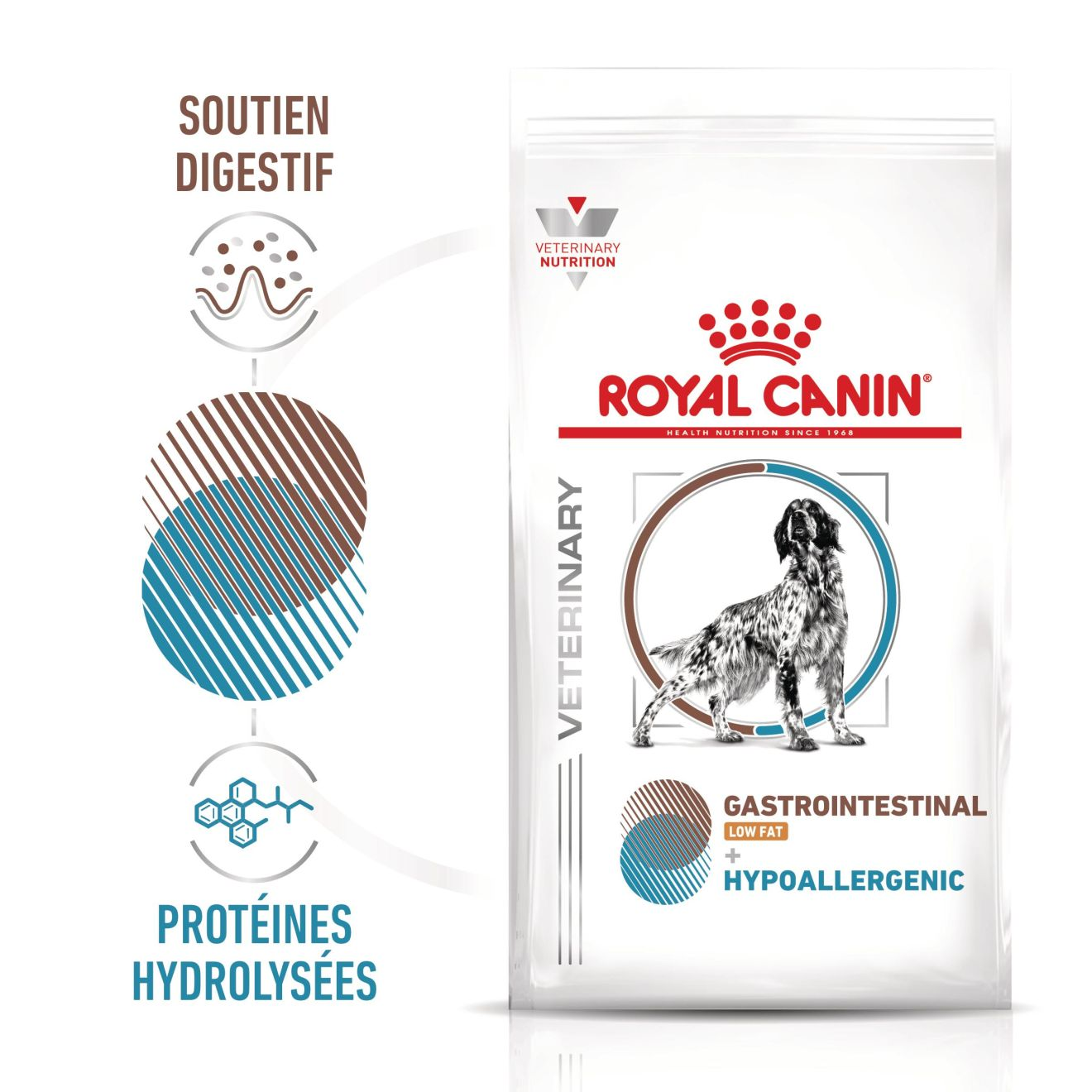 Gastrointestinal Low Fat + Hypoallergenic Chien