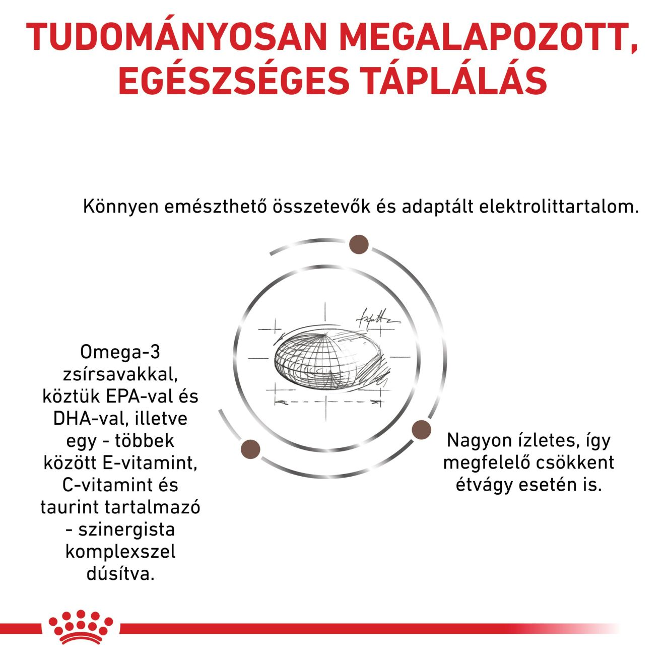 Gastrointestinal Moderate Calorie