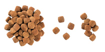 12 VCNF DRY Kibbles - NEU-YM-VCNC-CROC