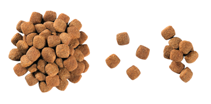 12 VCNF DRY Kibbles - NEU-YM-VCNC-CROC